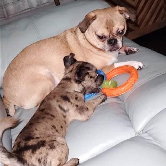 Me - Picture 16 of 17